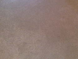 Carpet and Suite stain removal experts