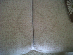 Carpet and Suite cleaning